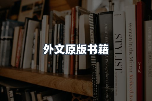 海外电子书